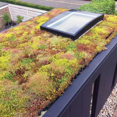A Guide To Creating A Green Roof System Using Grufekit